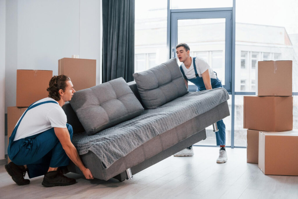 Professional Cleaning Services