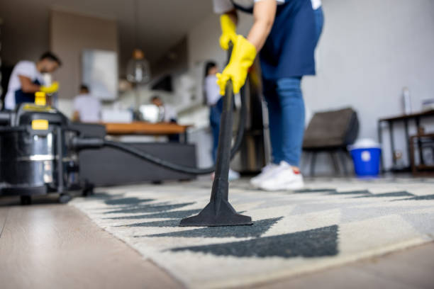 House Cleaning Services in West Sussex: Sparkling Results You Can Rely On
