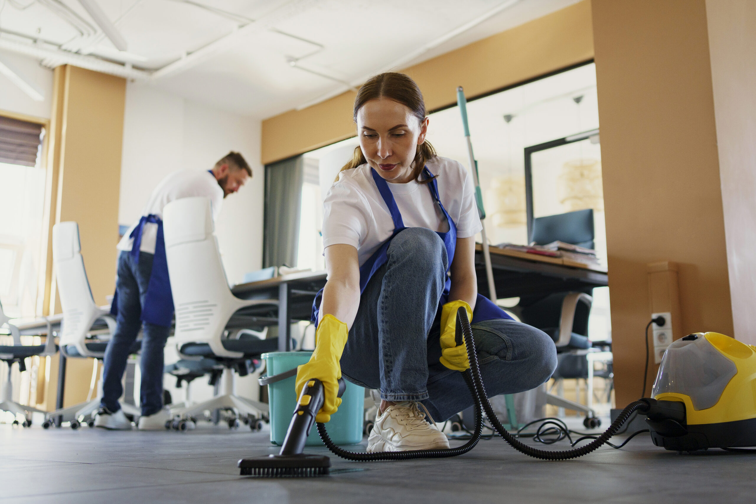 Professional Cleaning Services 